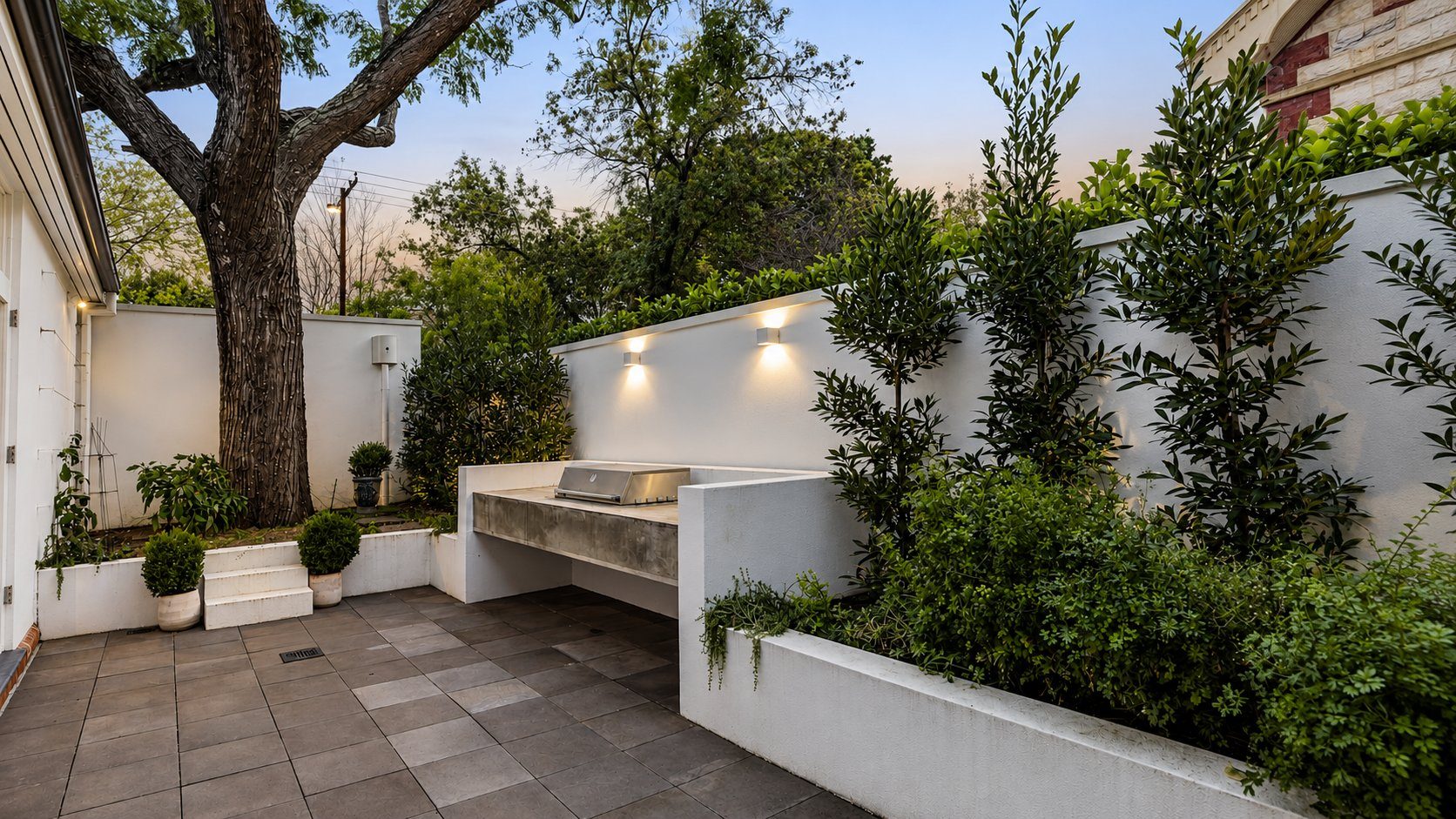 Courtyard garden at dusk with rendered white walls, a built-in outdoor kitchen, feature wall lighting and established olive and native planting over stone paving